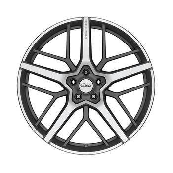 Felgi RONAL 21'' SL8 Dominatore  9.5X21 ET37 112X5  SL8.1955.173/6042 FIXZUB